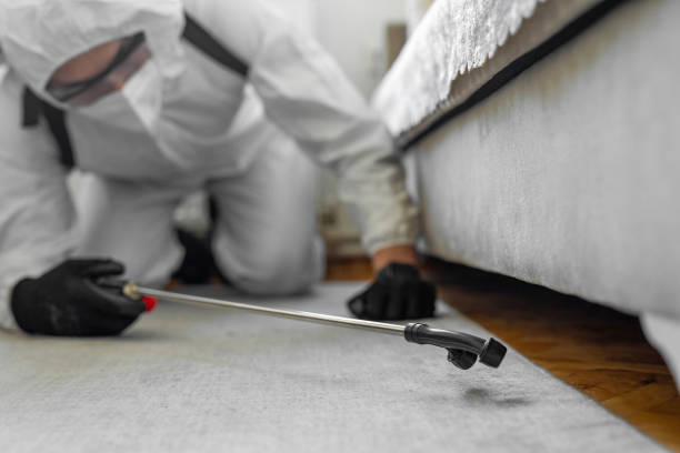 Professional Bed Bug Control technician working in Eutaw, AL