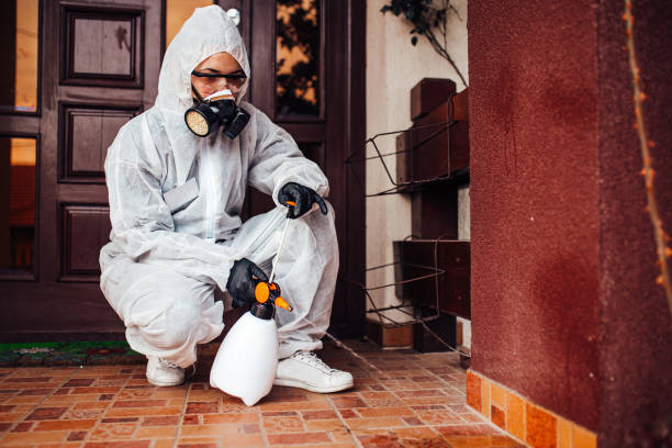 Reliable Bed Bug Control contractor in Eutaw, AL by Nex Pest Control